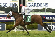 THE BEANO HORSE RACING SYSTEM 