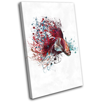 Fighter Fish Beta Splash Animals SINGLE Leinwand Kunst Bild drucken