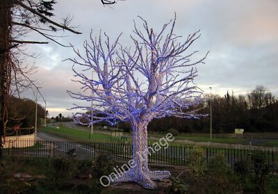 Foto 12x8 Ye not-so-olde Christmas Tree Kilmacanoge At Avoca Handweavers c2006