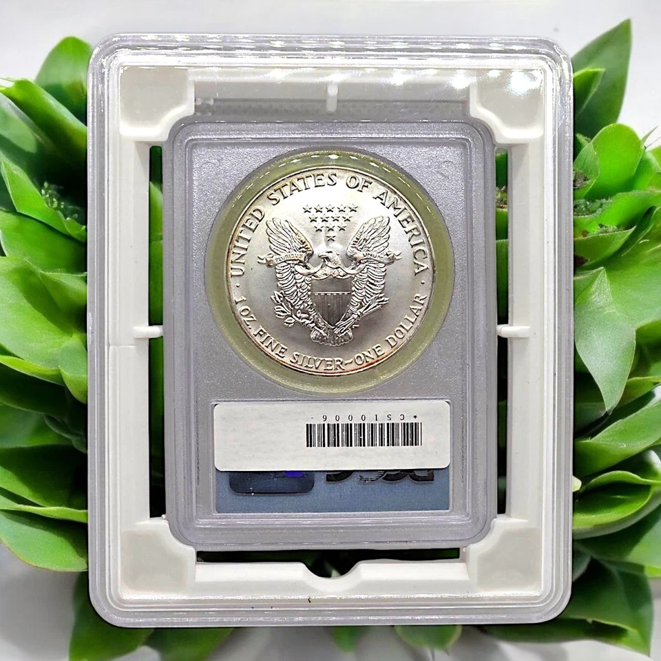 Moneda de recuperación American Silver Eagle 1991 WTC Ground Zero graduación profesional MS 69 ¡Rara graduada! Foto 2 de 2