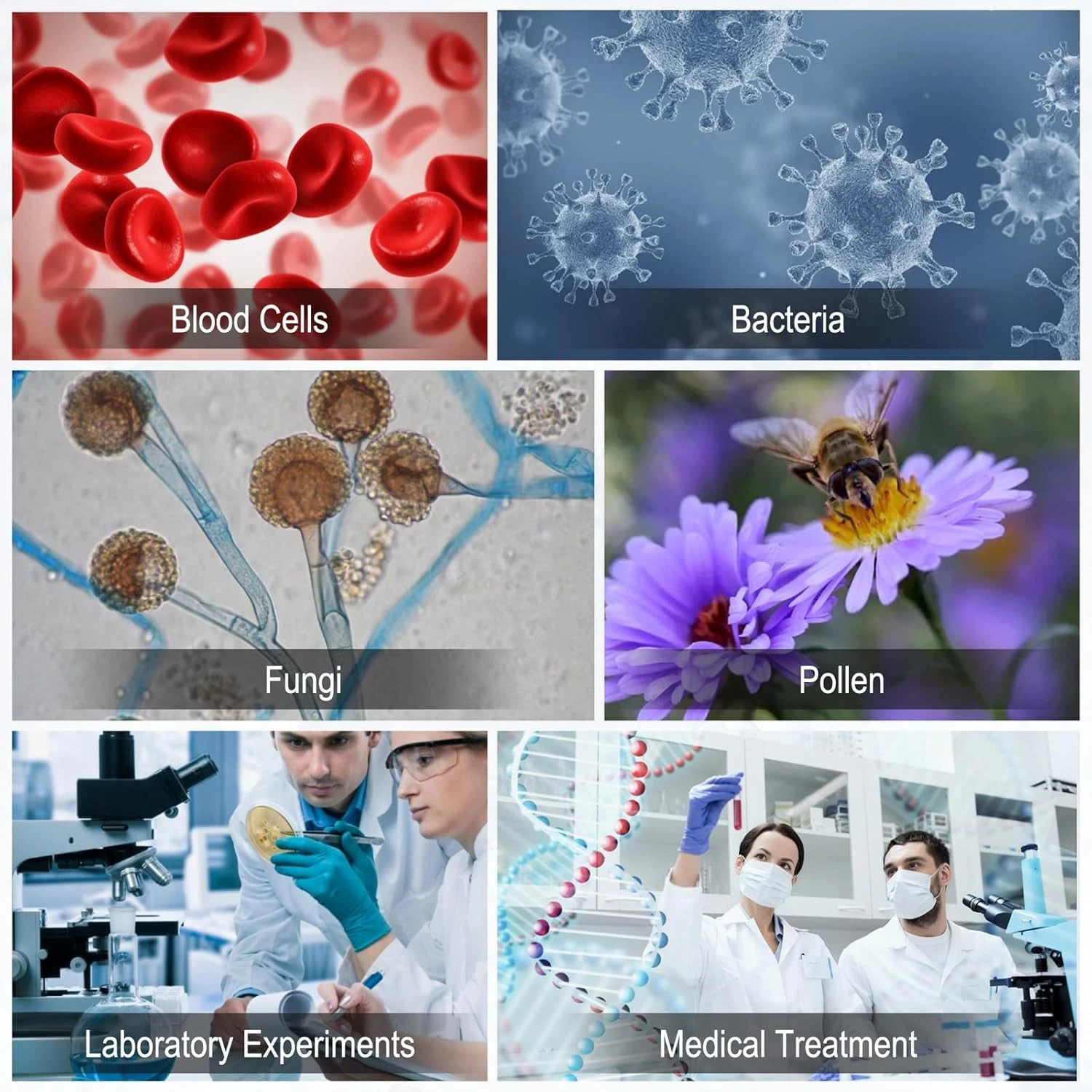 Hemocytometer Cell Counting Chambe Neubauer Improved Blood Counting Chamber