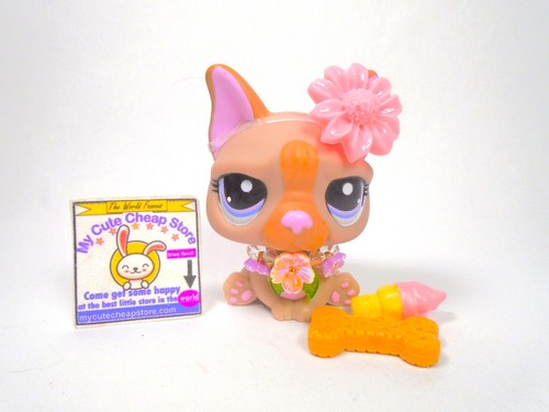 Littlest Pet Shop Rare Pink Brown French Bulldog #1896 & accessories authentic