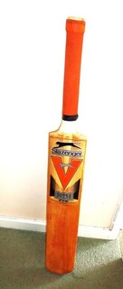 Slazenger V800 Pro Cricket bat