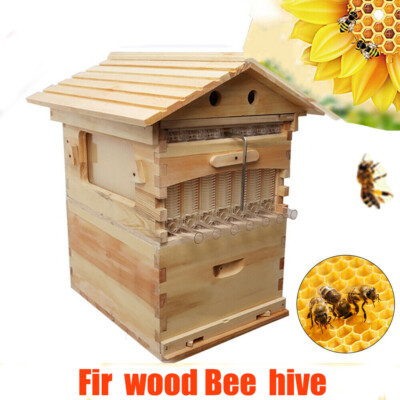 Auto Bee hive House Beekeeping Brood Box Set With 7 PCS Free Honey Hive Frames