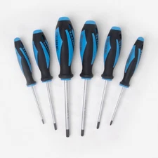 Witte Maxx Torx Screwdriver Set, 6 Pieces