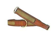 Leather Dog Collar Padded Golden Rhinestones Heavy Duty for Puppies and Big Dogs