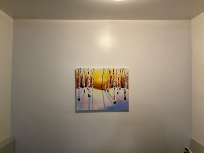hand painted canvas/ A peak into nature, a Time to Reflect.