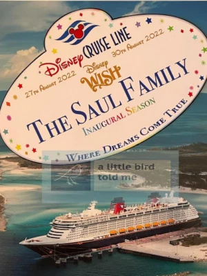 Personalised Disney Cruise door magnet Magic Dream Wish Fantasy Wonder Treasure
