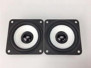 2 inch passive radiator