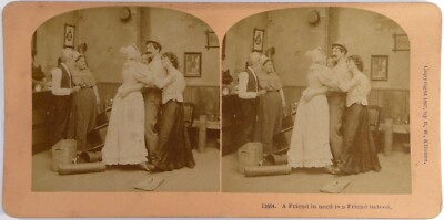 Usa.Scène de genre.A friend in need is a Friend Indeed.Photo Stereo Kilburn.1897