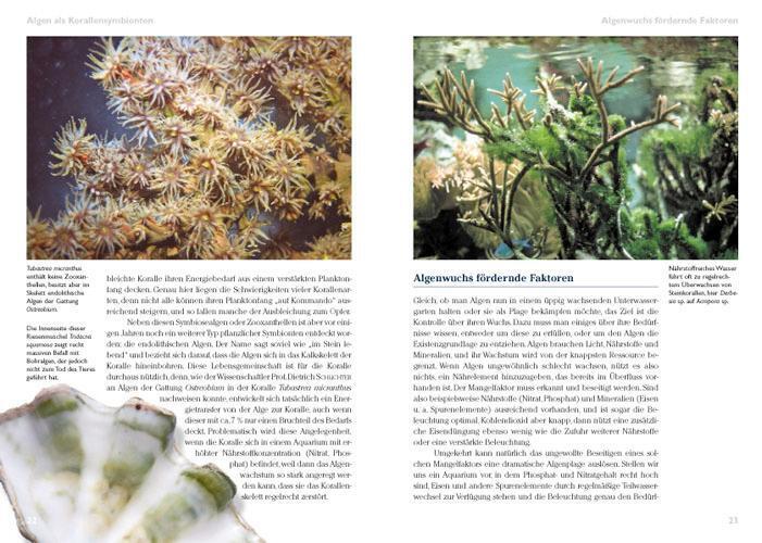 Thumbnail - Algen Meerwasseraquarium Pflege Und Bekämpfung Daniel Knop Taschenbuch