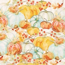 Boston International - Watercolor Pumpkins Cocktail Napkins - C028900