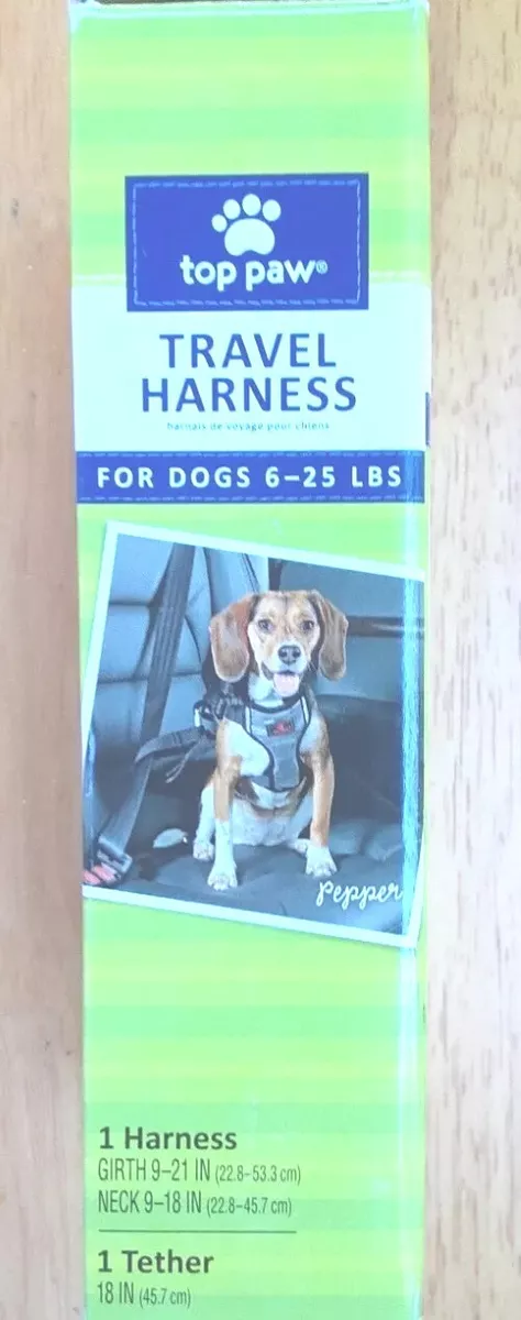 Top hotsell dog travel