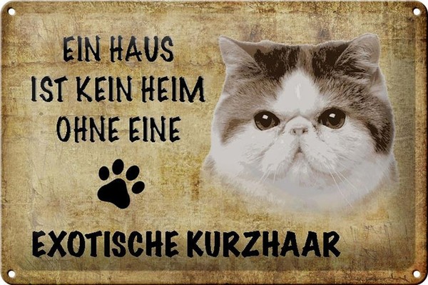 Blechschild Spruch 30X20 Cm Exotische Kurzhaar Katze Metall Deko Schild Tin Sign-image