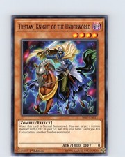 Yu-Gi-Oh Tristan, Knight Of The Underworld SR07-EN011 1st Edition Common Card NM