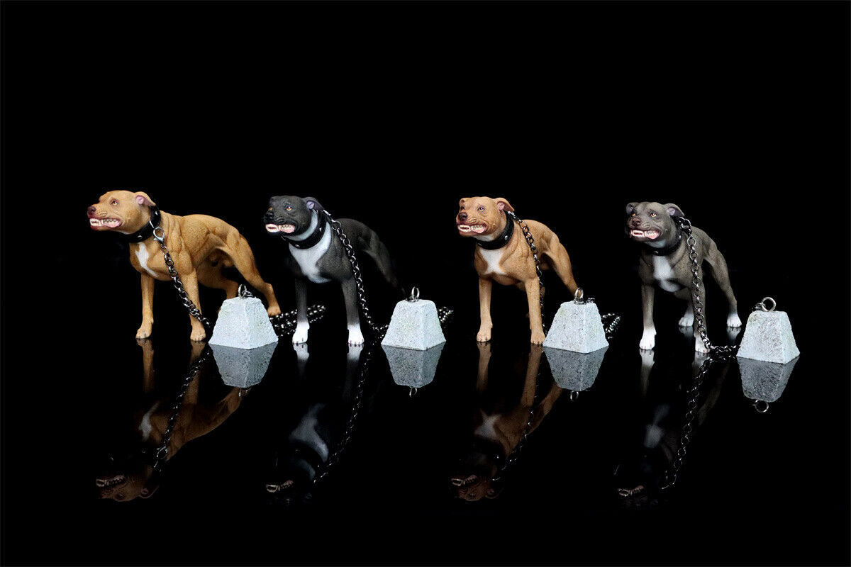 JXK 1/6 American Pit Bull Terrier Model Animal Figure Pet