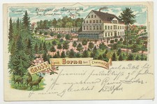 AK Chemnitz Gruss aus Borna Restaurant zur Sängerhalle