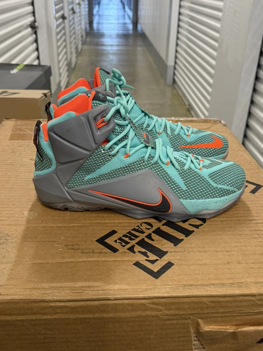Мужские кроссовки Nike LeBron XII - огромный выбор по лучшим ценам