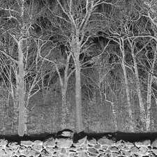 Pile Sunshine and Balance Beams (Cassette)