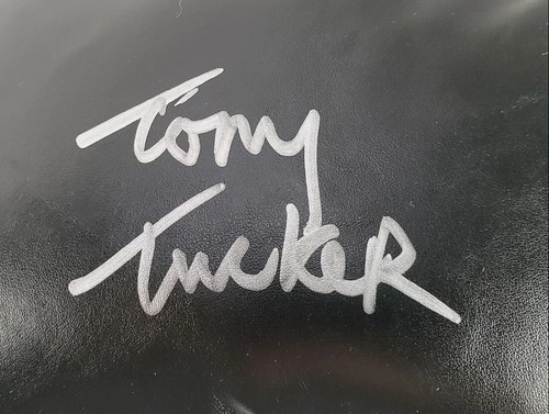 Juego de guantes y baúles de boxeo Everlast (mano derecha) firmados por Tony Tucker (certificado de autenticidad JSA) - Imagen 3 de 7