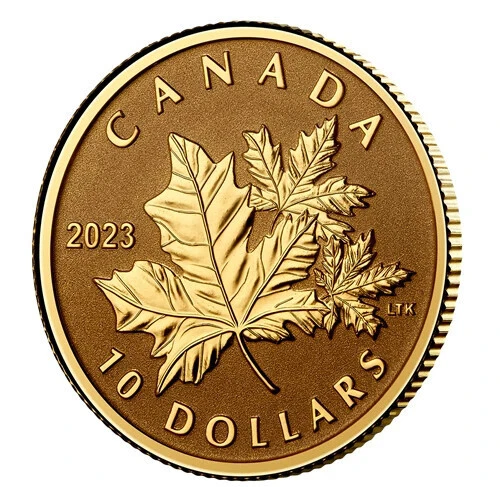 🇨🇦 2023 Canada 1/20 oz. Pure Gold Coin  - Everlasting Maple Leaf 🍁 - Image 4 of 4