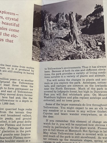Yellowstone National Park 1966 Park Map Brochure - Picture 4 of 8