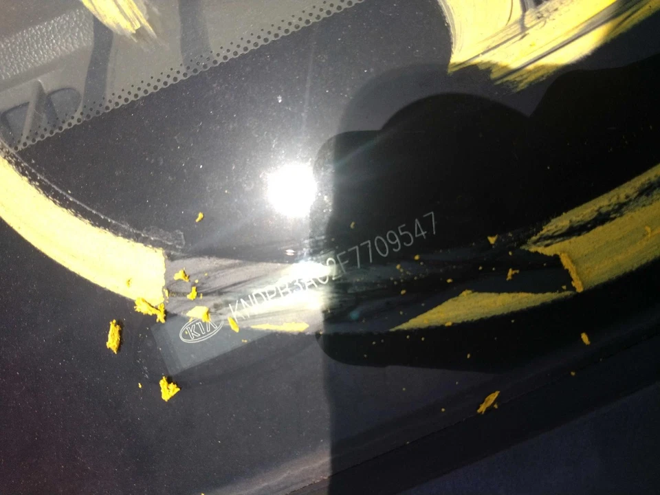 KIA SPORTAGE 2015 puerta trasera derecha azul fabricante de equipos originales usado 121 k millas NJ25-18769-465244 Foto 4 de 4