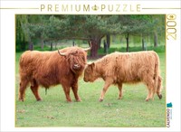 Calvendo Puzzle A Wild Encounter | 2000 Pieces, Finished Size 35.4 × 26.4 In (90