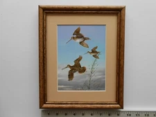 Owen Gromme WILSON'S SNIPE 8x10 framed 3.5 709