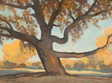 Maynard Dixon : Old Tree : 1943 : Archival Quality Art Print
