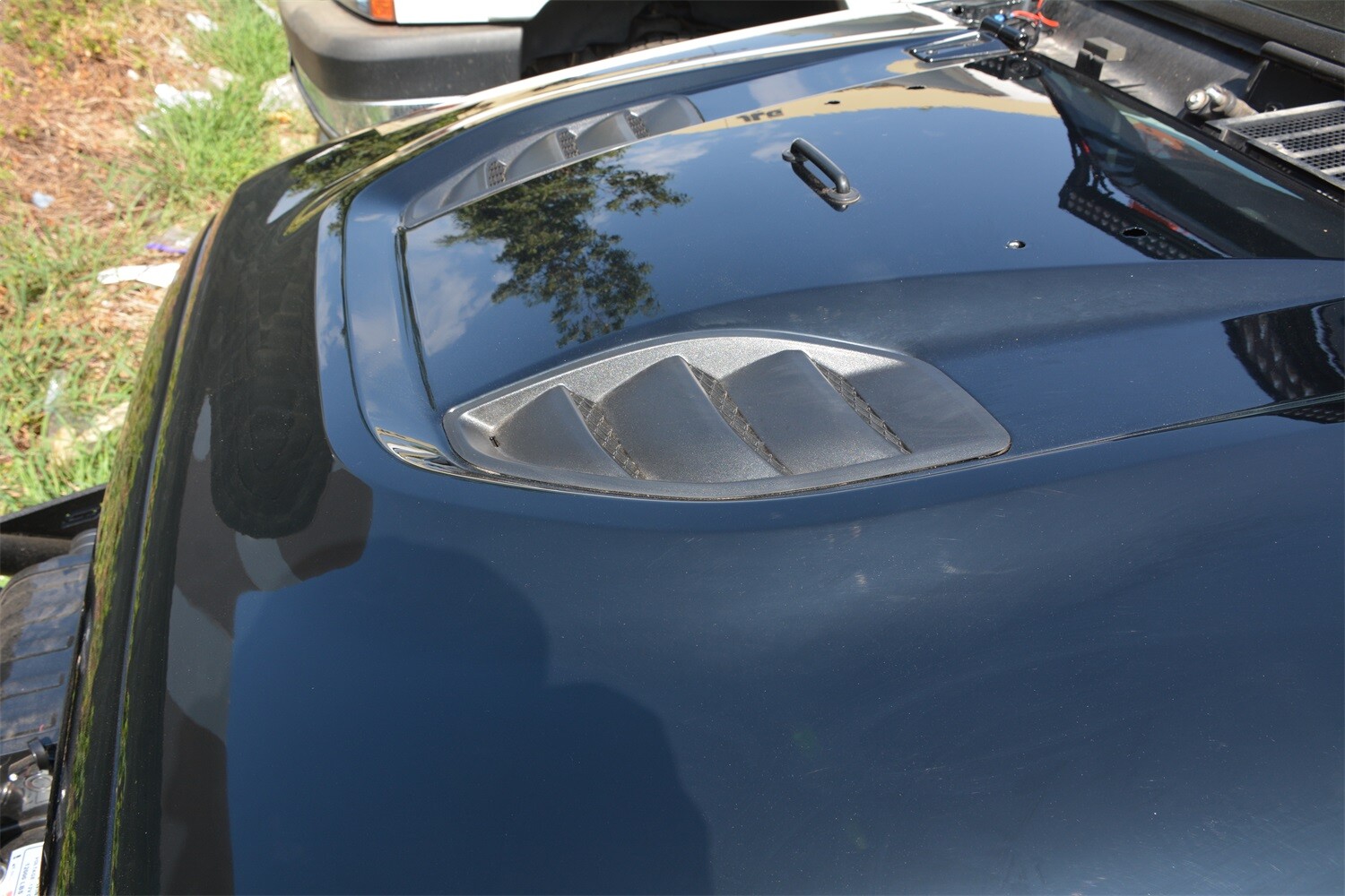 Picture 5 of 6