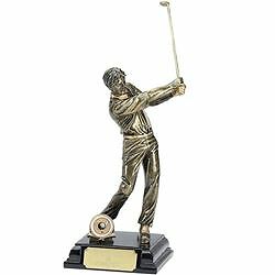 Personalised Engraved Stature Golf Male Great Player Team Award - Picture 3 of 5