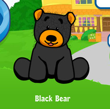 Webkinz Black Bear Virtual Adoption Code Only Messaged Webkinz Black Bear Code 