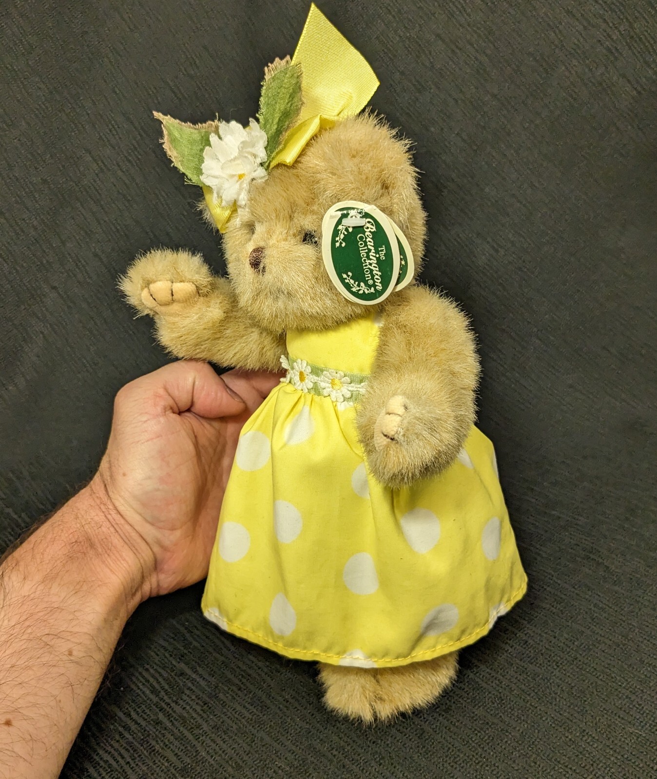 Picture 8 of 24