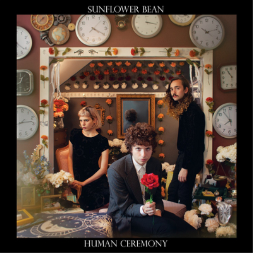 Sunflower Bean Human Ceremony (Vinyl LP) 12" Album
