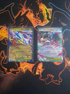 Pokemon Cards mega evolution Ex Cards X2 094/13, 100/132