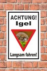 Bild 2 von 5