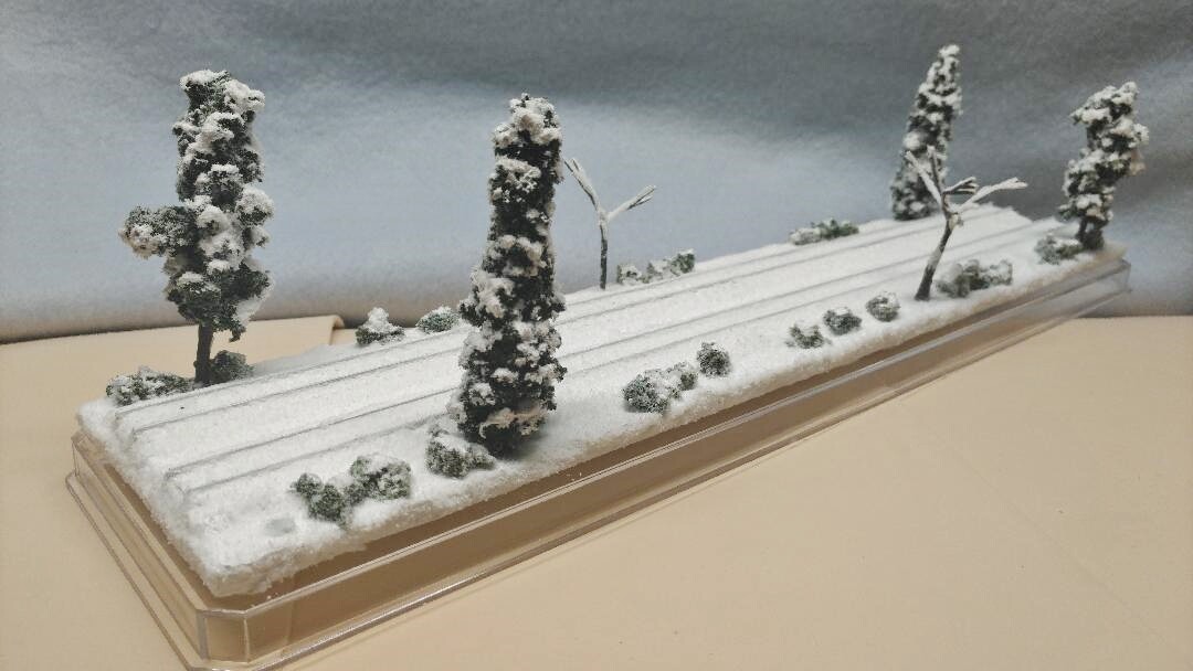 Picture 6 of 11
