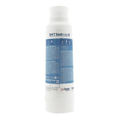BWT Bestmax V Wasserfilterpatrone FS23100A00