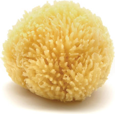 Caribbean Sea Sponge, Hand Cut, Small, Approx. 4-5 Inches