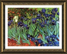 Irises by Vincent Van Gogh | Framed canvas | Wall art print paint painting HD