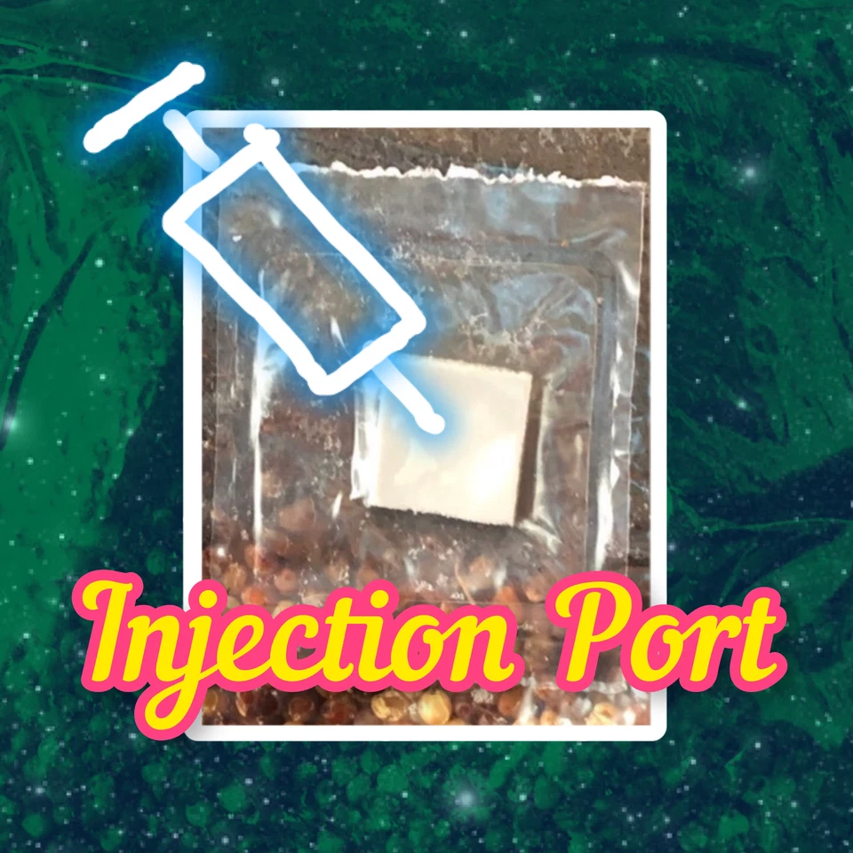 4lb All-in-One Mushroom Grow Bag | Easy To Use |  New Size! - Image 4 of 4