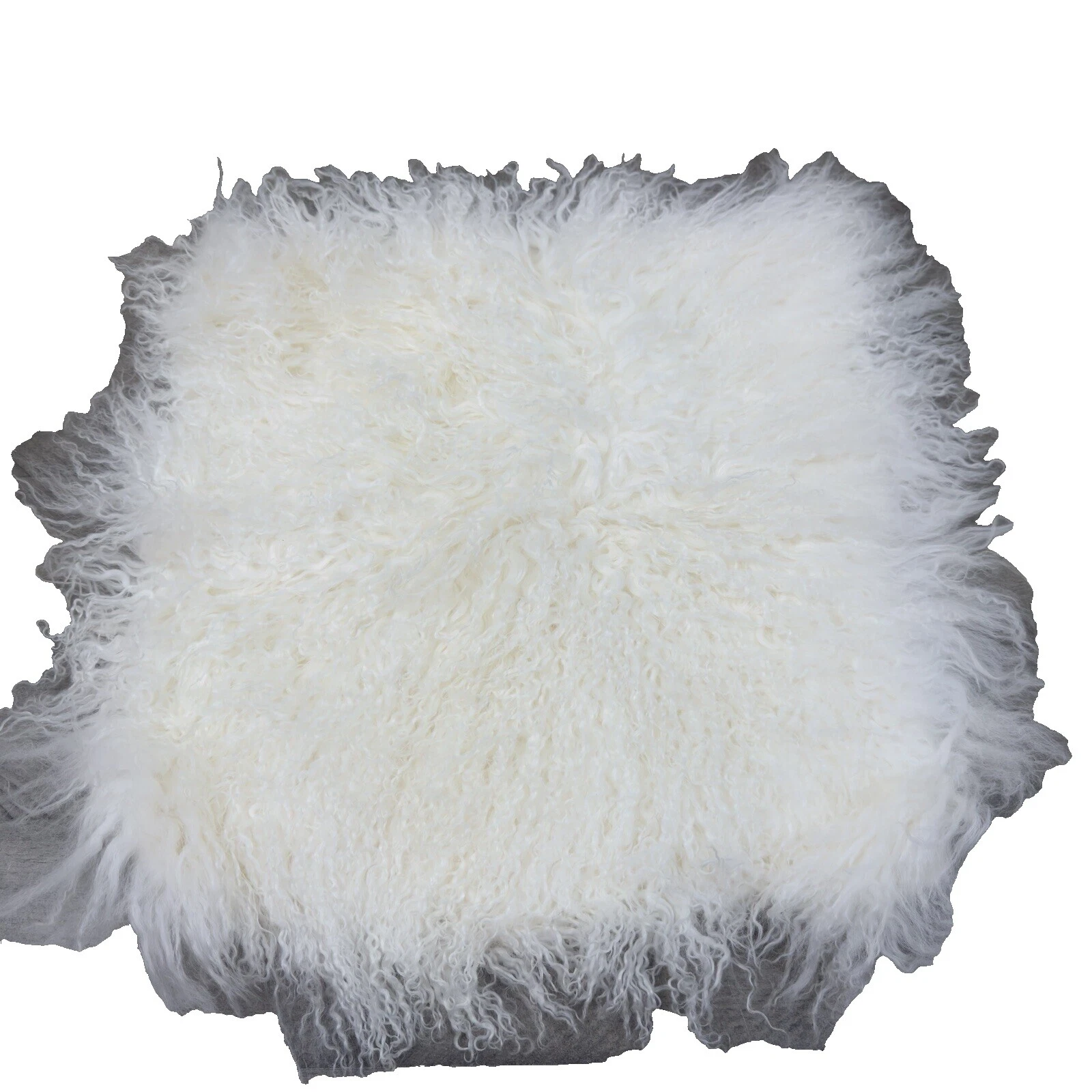 Decoración para el hogar cuadrado blanco West Elm Almohadas