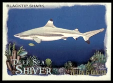 2021 Topps Allen & Ginter #DSS-8 Blacktip Shark Deep Sea Shiver Sharks Baseball