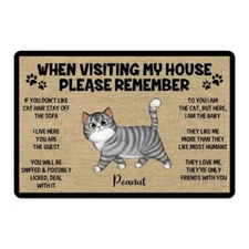 Please Remember When Visiting Cats House Cat Doormat Welcome Mat Long Hair Cat