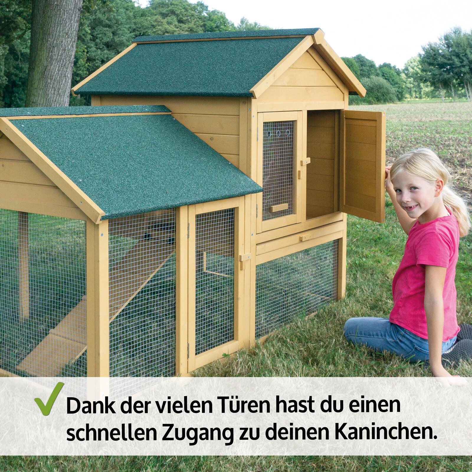 Bild 5 von 12