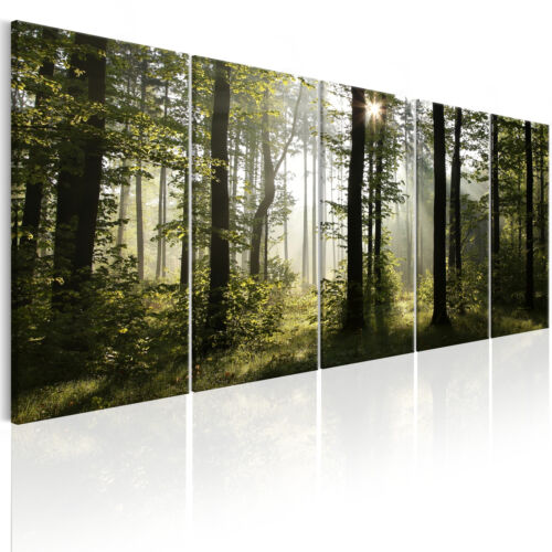 FOREST LANDSCAPE Canvas Print Framed Wall Art Picture Photo c-B-0288-b-m - Picture 1 of 1