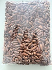 Premium Quality Pine Nuts. Fresh Crop.500g