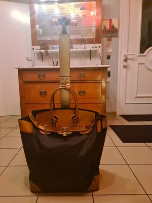 Eleganter Einkaufstrolley   48x50x18cm  auch als Einkaufstasche verwendbar