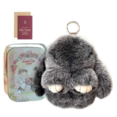 Rabbit Keychain Ring Car Key Pendant Lovely Keyring Pendant Bunny Lulu Keychain 